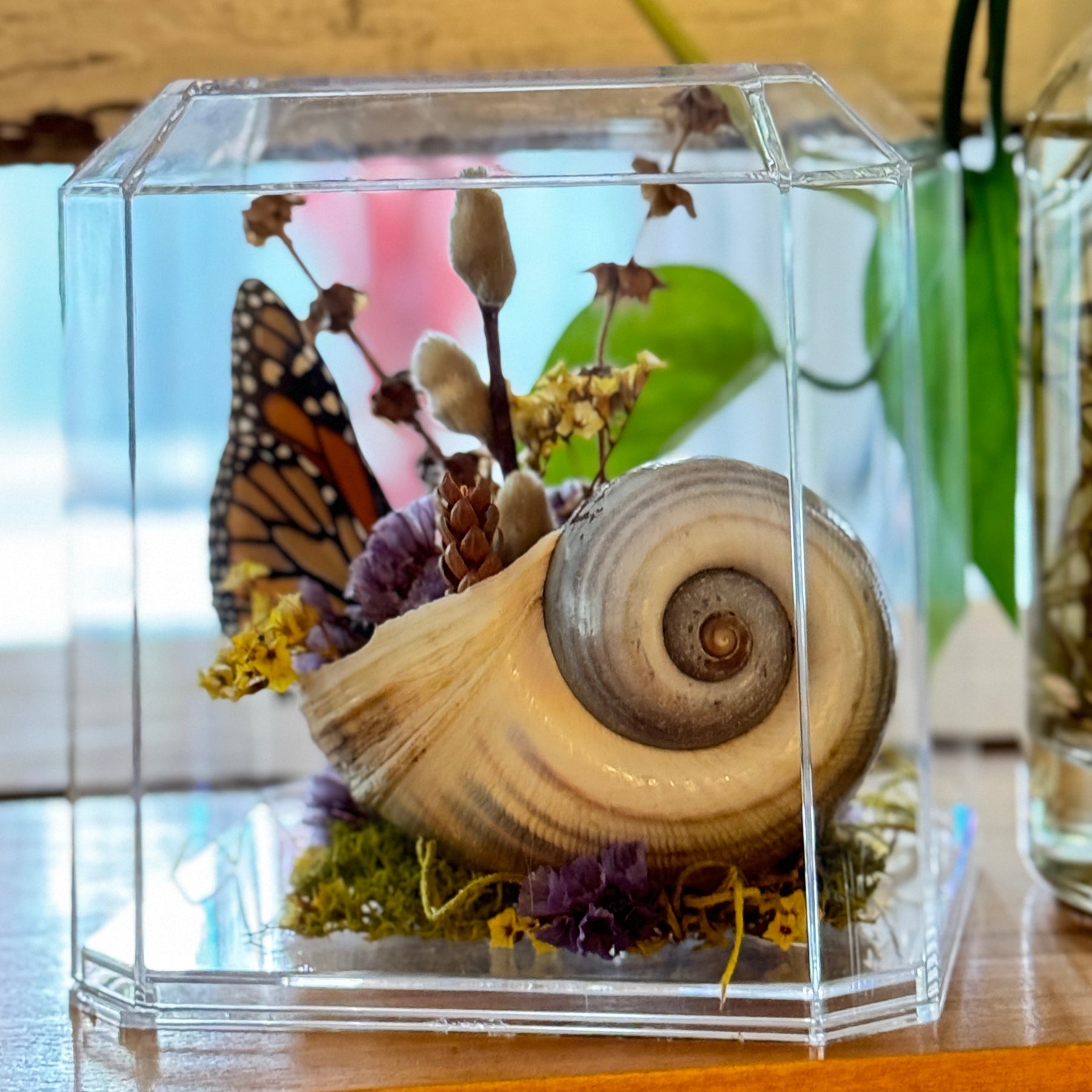 Monarch Butterfly Found Object Sculpture - Strange Nectar Art Display ...